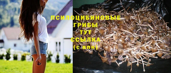 мяу мяу кристалл Осташков