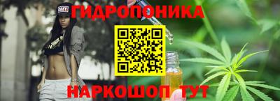 спиды Кимры