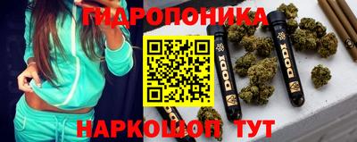 спиды Кимры