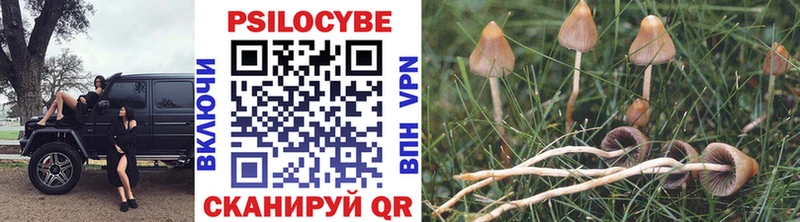 Псилоцибиновые грибы Magic Shrooms  хочу наркоту  mega рабочий сайт  Старая Купавна 