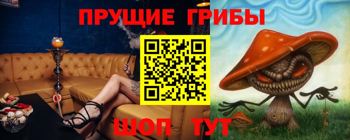 Псилоцибиновые грибы GOLDEN TEACHER Старая Купавна